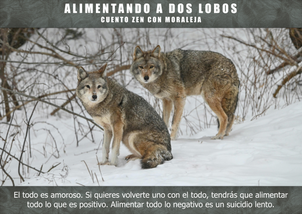 Imagen del cuento: Alimentando a dos lobos