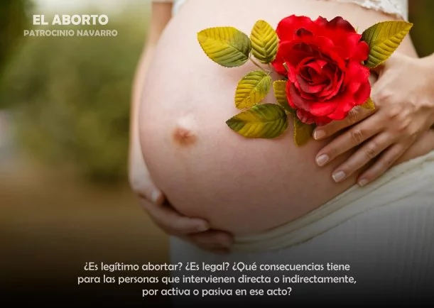 Imagen; El aborto en la piel de otros; Patrocinio Navarro