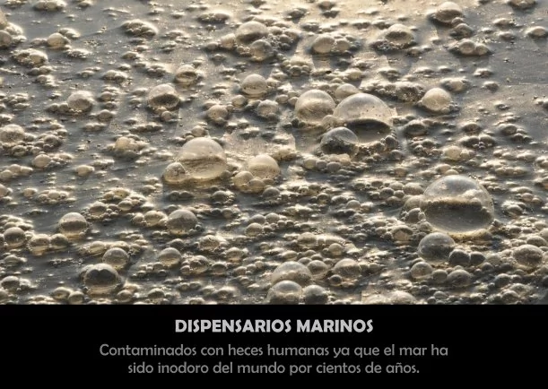 Imagen; Agua de mar dispensarios marinos; Akashicos