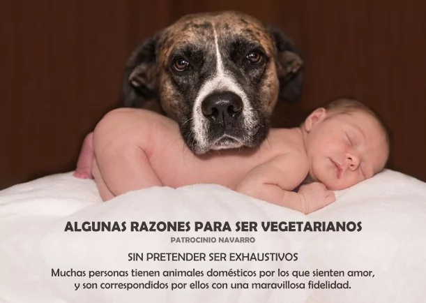 Imagen; Algunas razones para ser vegetarianos; Patrocinio Navarro