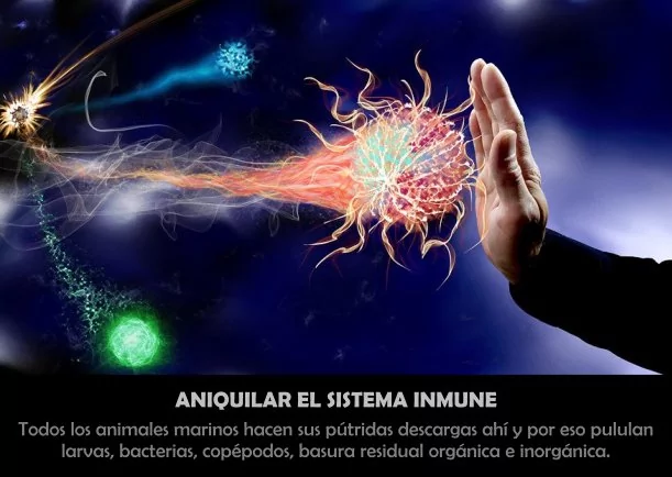 Imagen; Aniquilar el sistema inmune; Jbn Lie