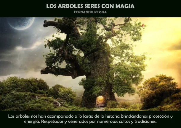 Imagen del escrito; Los árboles seres con magia, de Fernando Pessoa