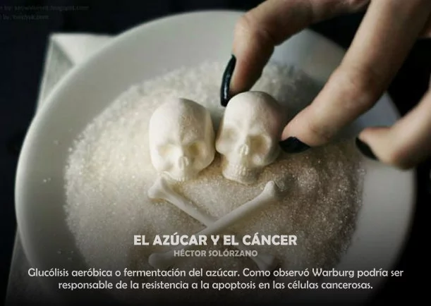 Imagen; El azúcar y el cáncer; Akashicos