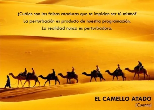 Imagen; El camello atado; Osho
