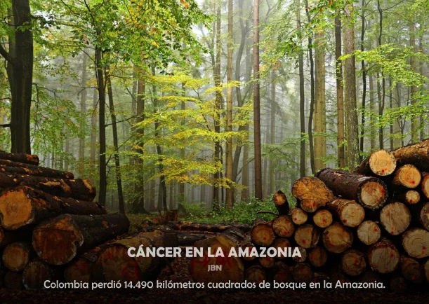 Imagen; Cáncer en la amazonia; Anonimo