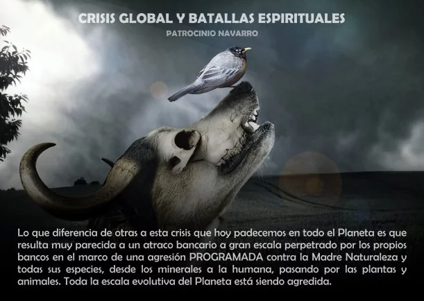 Imagen del escrito; Crisis global y batallas espirituales, de Patrocinio Navarro