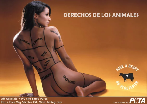 Imagen; Los derechos de los animales; Patrocinio Navarro