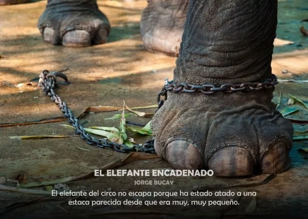 Imagen del escrito; El elefante encadenado, de Jorge Bucay