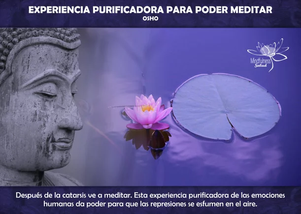 Imagen; Experiencia purificadora para poder meditar; Osho