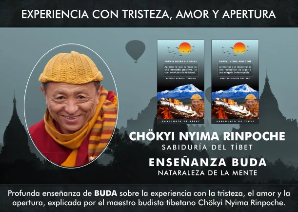 Imagen; Experiencia con la tristeza, el amor y la apertura; Chokyi Nyima Rinpoche