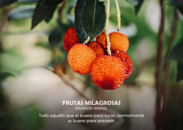 Imagen; Frutas milagrosas; Akashicos