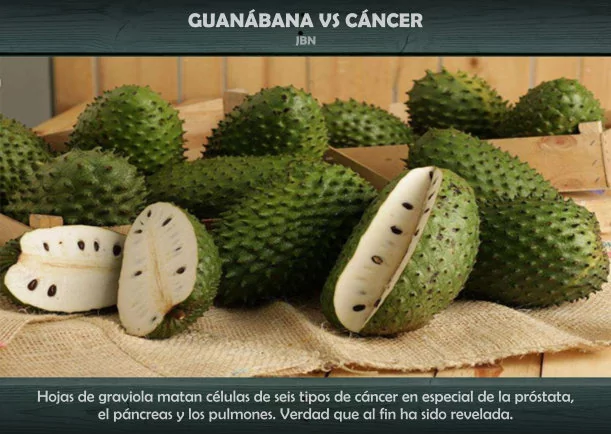 Imagen; Guanábana contra cáncer; Jbn Lie