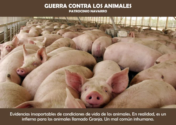 Imagen; Guerra contra los animales; Patrocinio Navarro