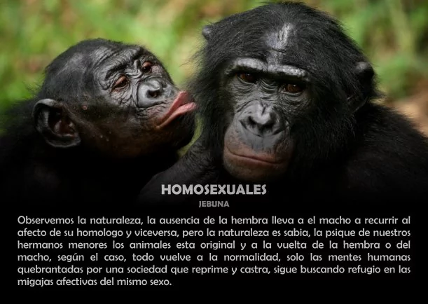 Imagen del escrito; Homosexuales, de Jebuna
