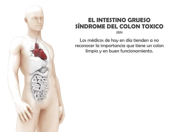 Imagen del escrito; El intestino grueso síndrome del colon toxico, de Anonimo