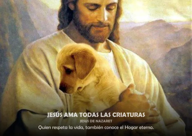 Imagen; Jesús ama todas las criaturas; Jesus El Cristo