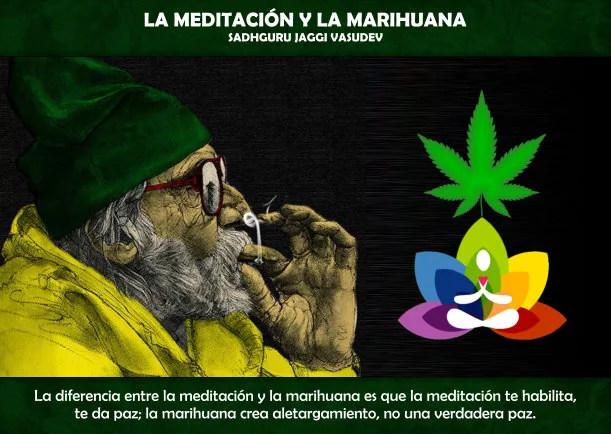 Imagen; La meditación y la marihuana; Sadhguru Jaggi Vasudev