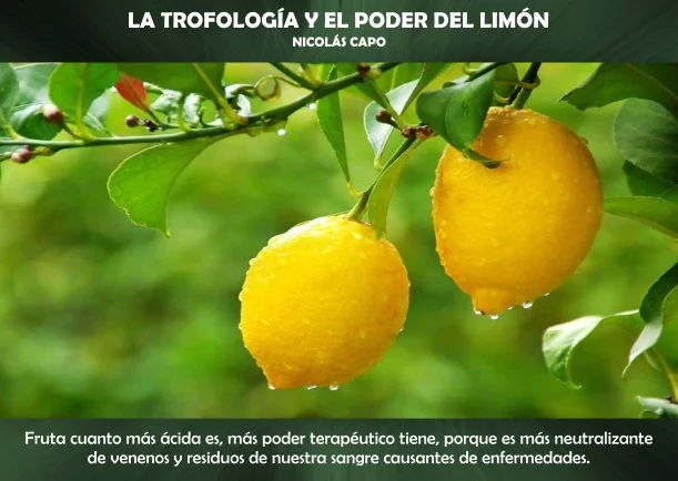 Imagen; La trofología y el poder del limón; Akashicos