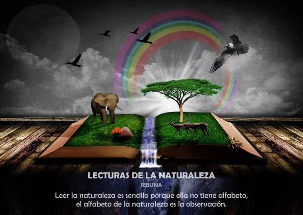 Imagen; Lecturas de la naturaleza; Jebuna