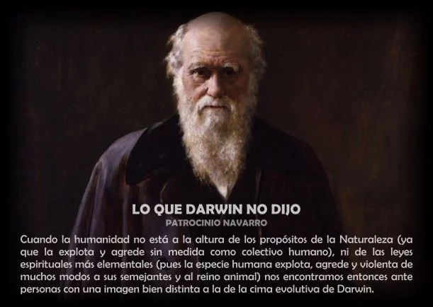 Imagen; Lo que Darwin no dijo; Patrocinio Navarro