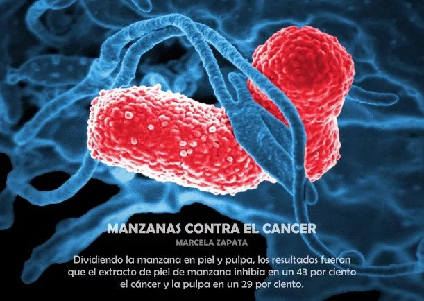 Imagen; Manzanas contra el cáncer; Akashicos