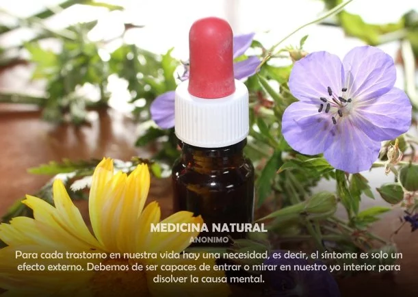 Imagen; Medicina natural; Sobre La Naturaleza