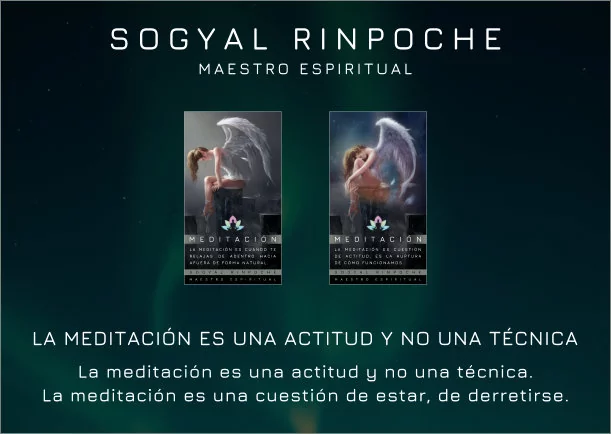 Imagen; La meditación es una actitud y no una técnica; Sogyal Rinpoche