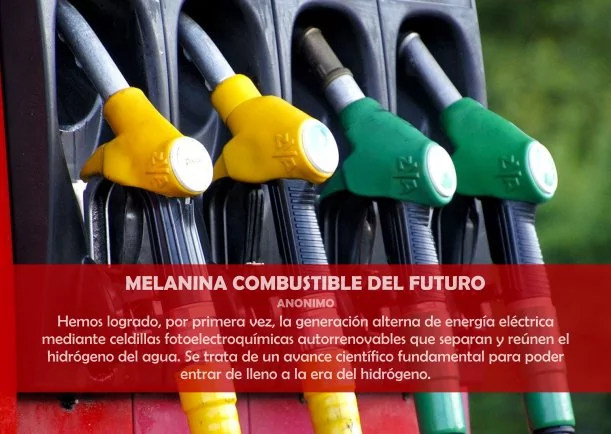 Imagen; Melanina combustible del futuro; Jbn Lie