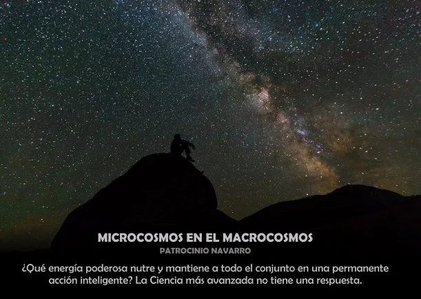 Imagen; Microcosmos en el macrocosmos; Patrocinio Navarro
