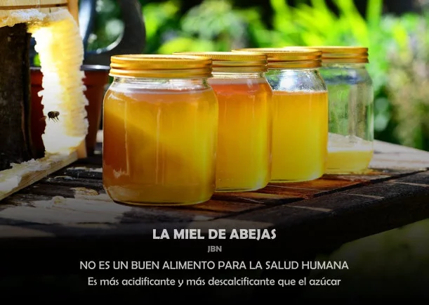 Imagen del escrito; La miel de abejas, de Sobre La Salud