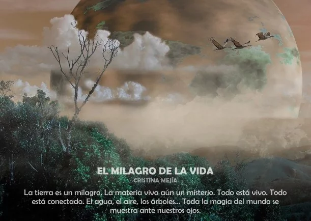 Imagen; El milagro de la vida; Miguel Ruiz