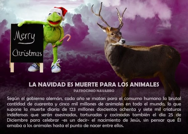 Imagen; La navidad es muerte para los animales; Patrocinio Navarro