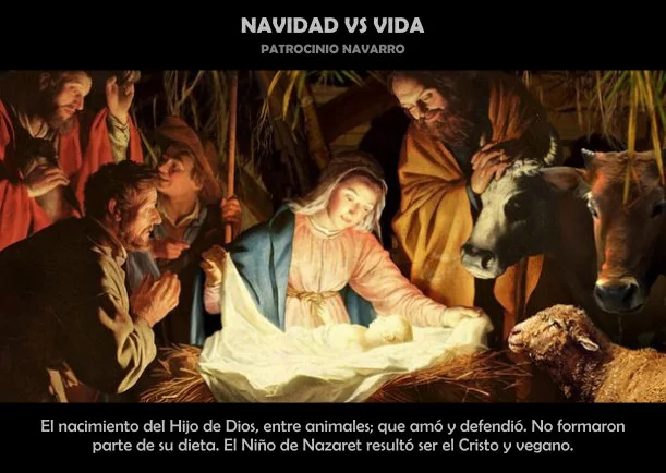 Imagen del escrito; Navidad vs vida, de Patrocinio Navarro