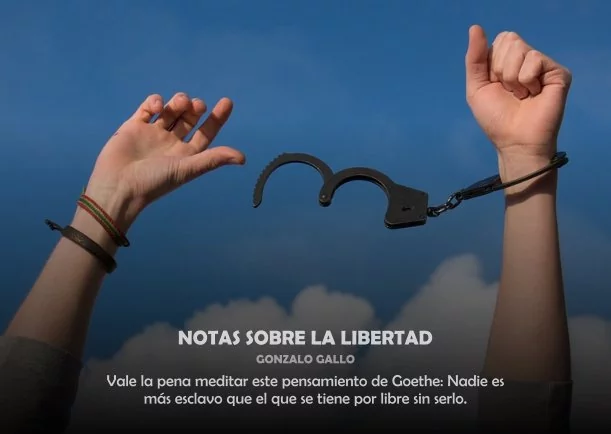 Imagen; Notas sobre la libertad; Gonzalo Gallo