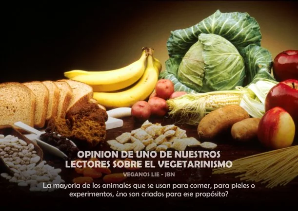 Imagen del escrito; Opinión sobre el vegetarianismo, de Veganos