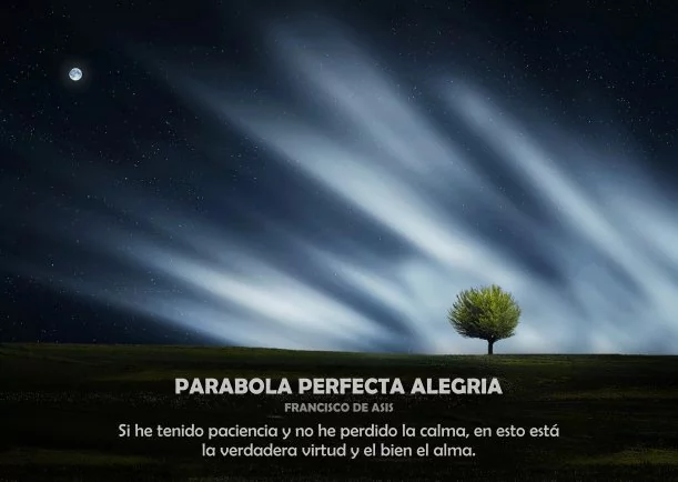 Imagen; Parábola perfecta alegría; Francisco De Asis