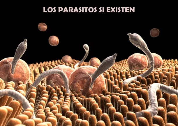 Imagen del escrito; Los parásitos si existen, de Mario Chaves