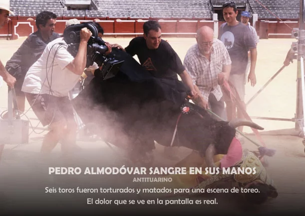 Imagen; Pedro Almodovar sangre en sus manos; Veganos