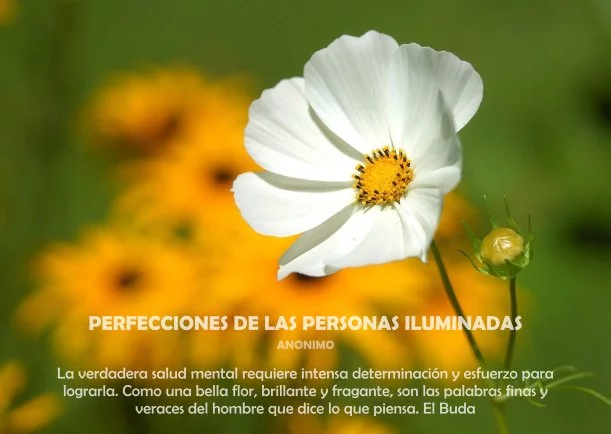 Imagen; Perfecciones de las personas iluminadas; Jbn Lie