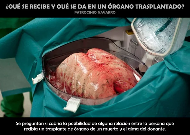 Imagen; ¿Qué se recibe y da en un órgano trasplantado?; Patrocinio Navarro