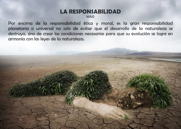 Imagen; La responsabilidad; Mauricio Amaya