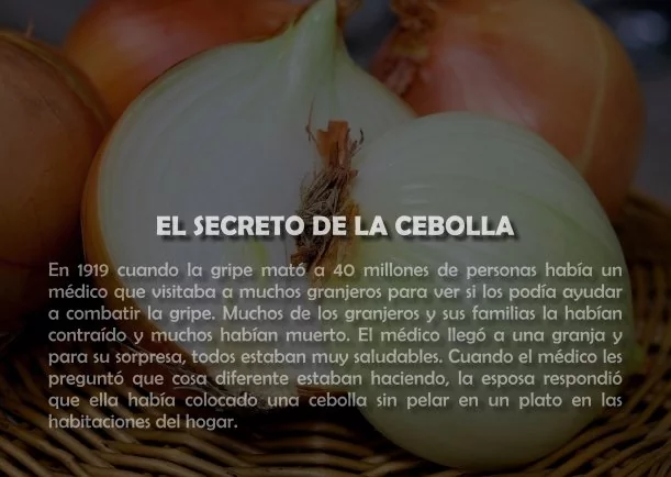 Imagen; El secreto de la cebolla; Jbn Lie