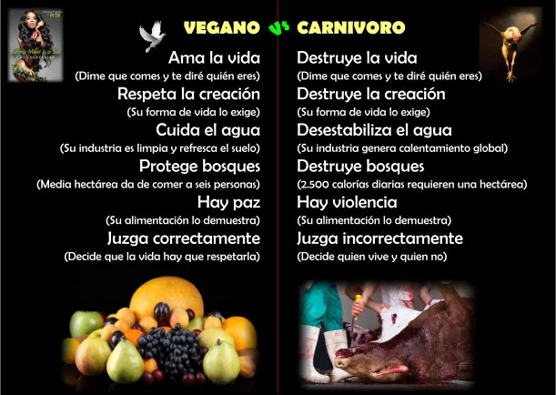 Imagen; Veganos vs carnívoros; Akashicos