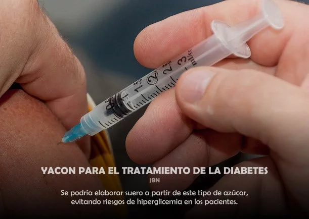 Imagen; Yacon para el tratamiento de la diabetes; Akashicos